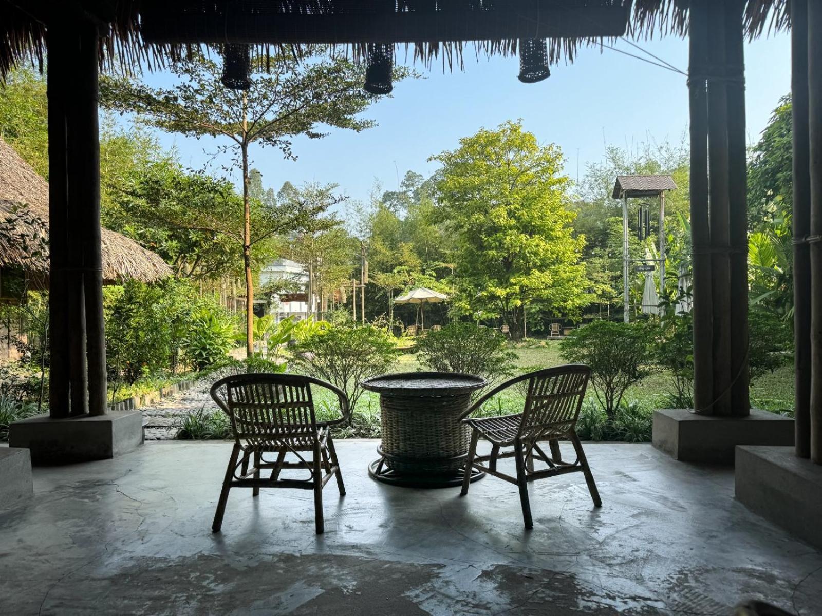 Dinh Gia Trang - Homestay & Coffee The Ruong Exterior foto