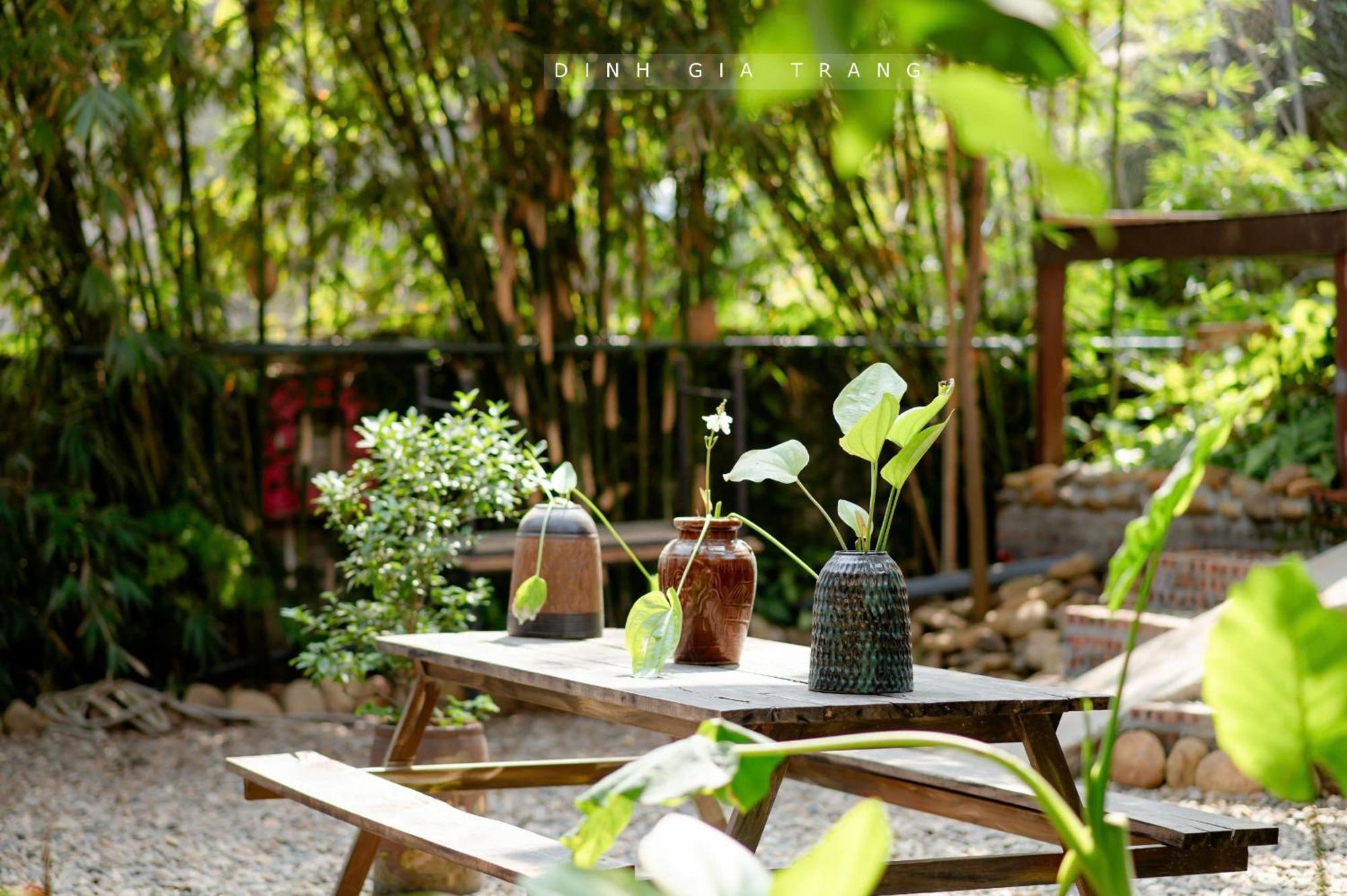 Dinh Gia Trang - Homestay & Coffee The Ruong Exterior foto