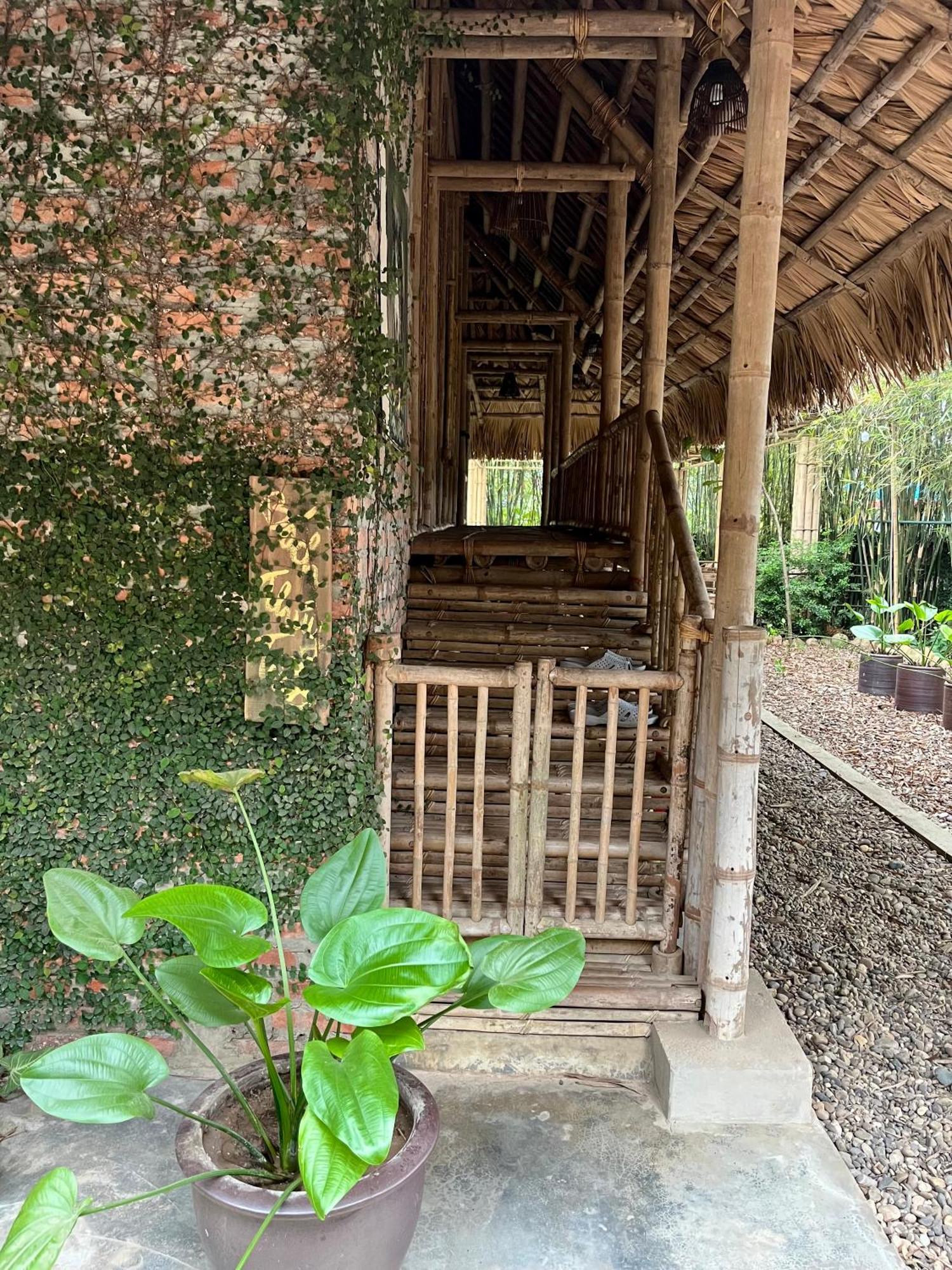Dinh Gia Trang - Homestay & Coffee The Ruong Exterior foto
