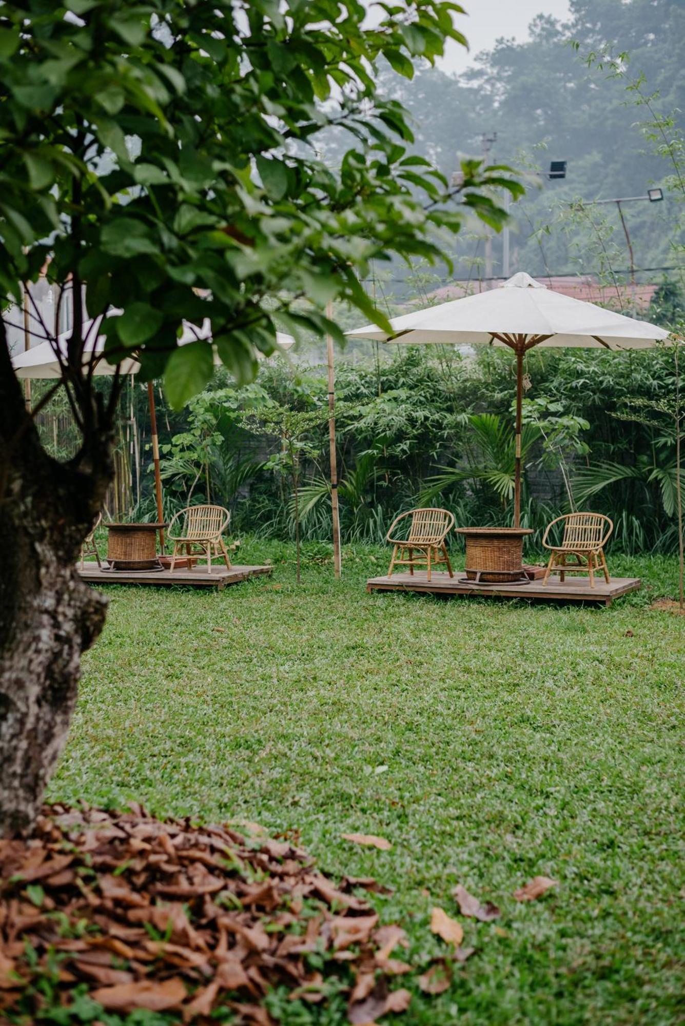 Dinh Gia Trang - Homestay & Coffee The Ruong Exterior foto
